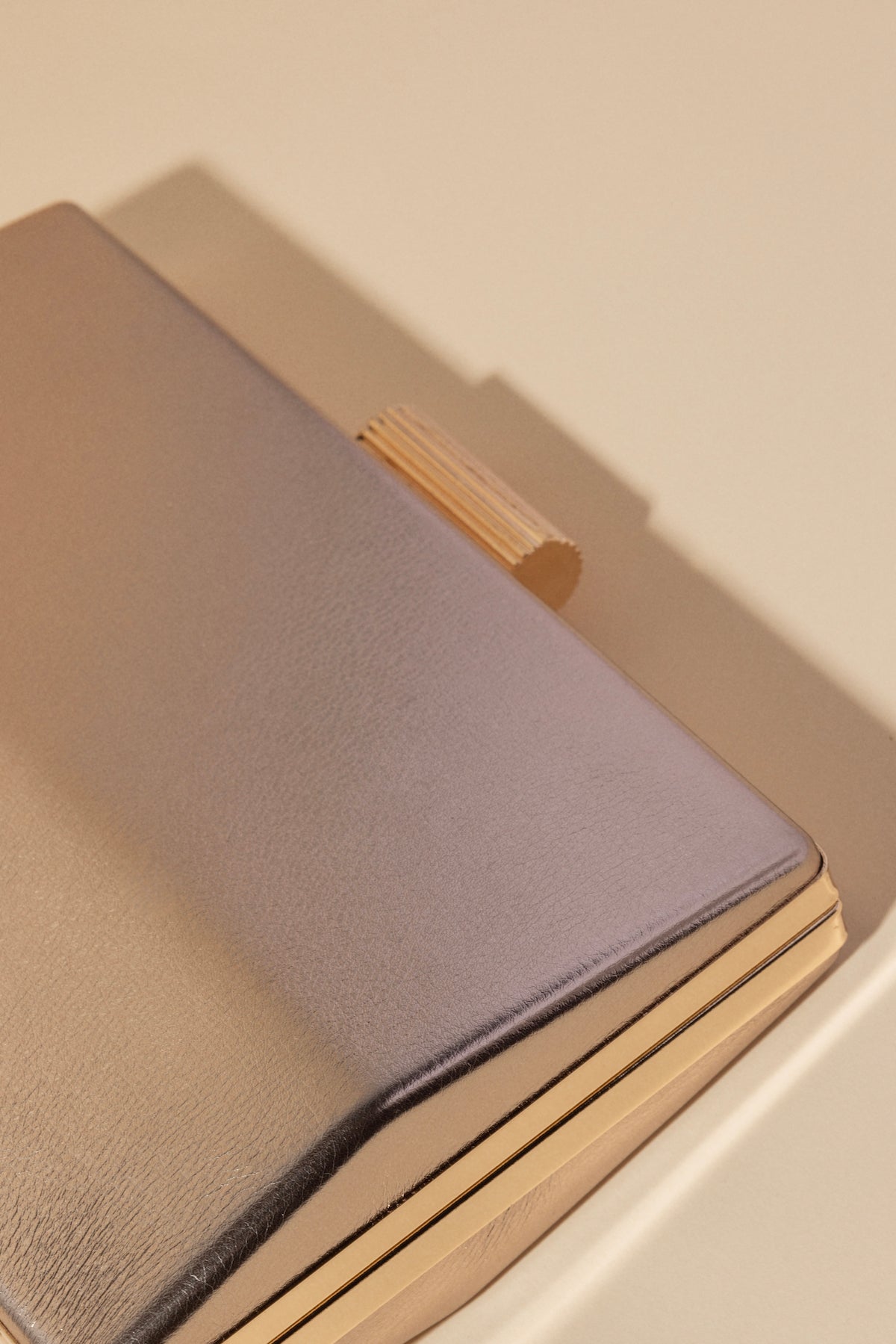 Clutch Gara Plata · Le Jardin ·