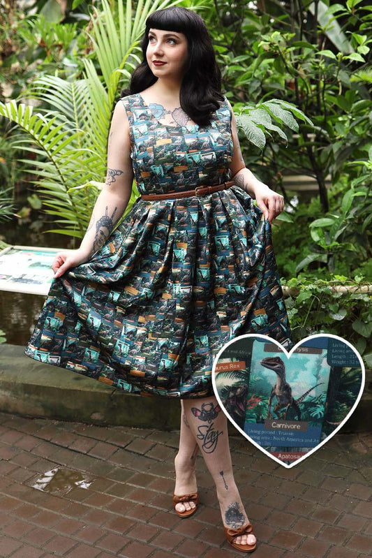 Amanda Green Dinosaur Flash Card Swing Dress