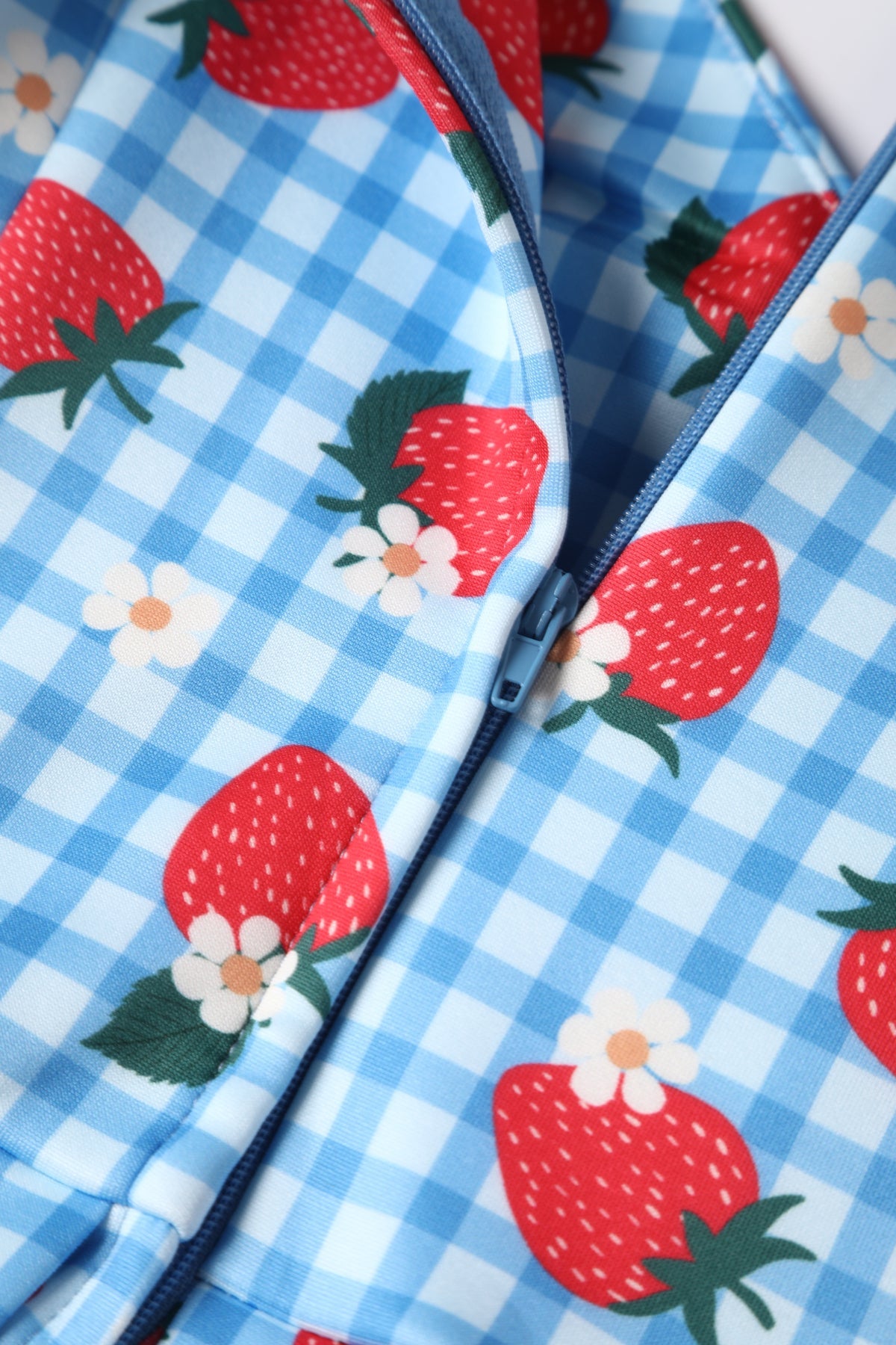 Lily Summer Strawberry Blue Gingham Dress