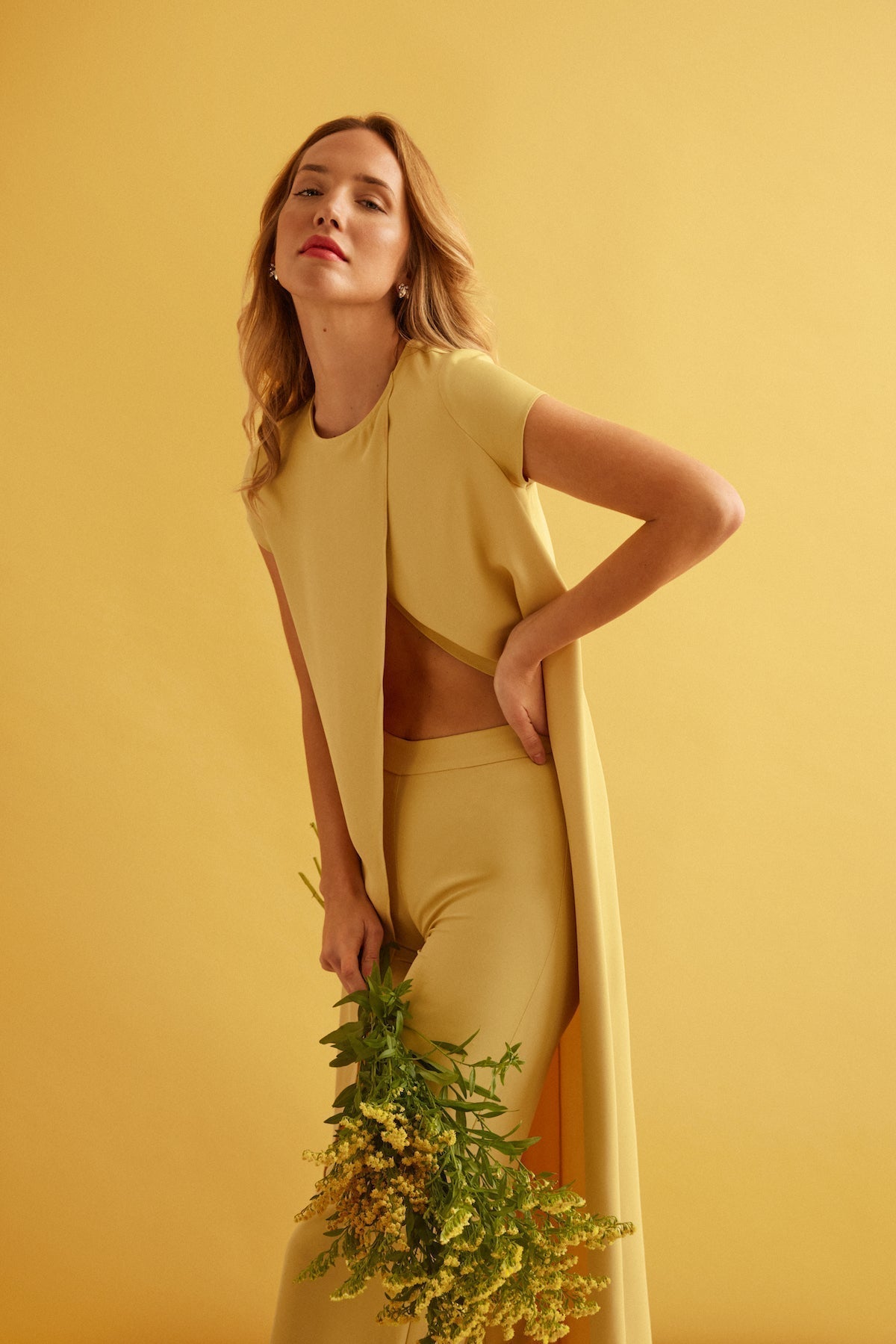 Top Maca  Lemon · Wisteria ·